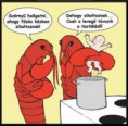 /album/fenykepgaleria/images-13-jpg/
